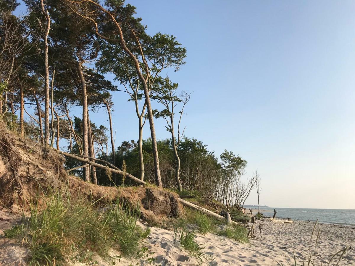 "Kontorhaus" By Ferienhaus Strandgut Born Exterior photo